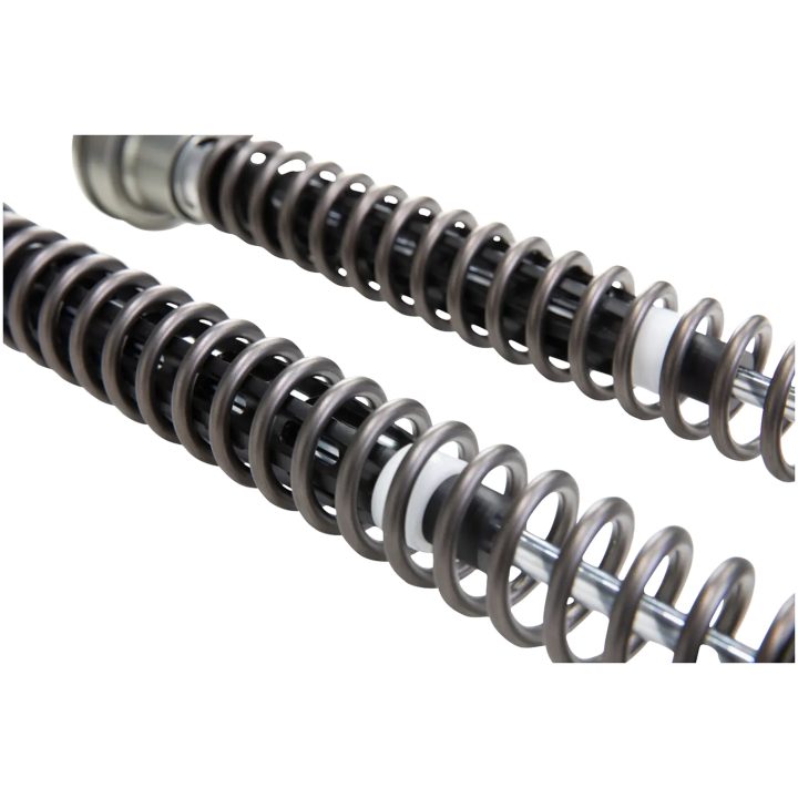 Gaffelfjäder Kit Nix ÖHLINS – bild 4
