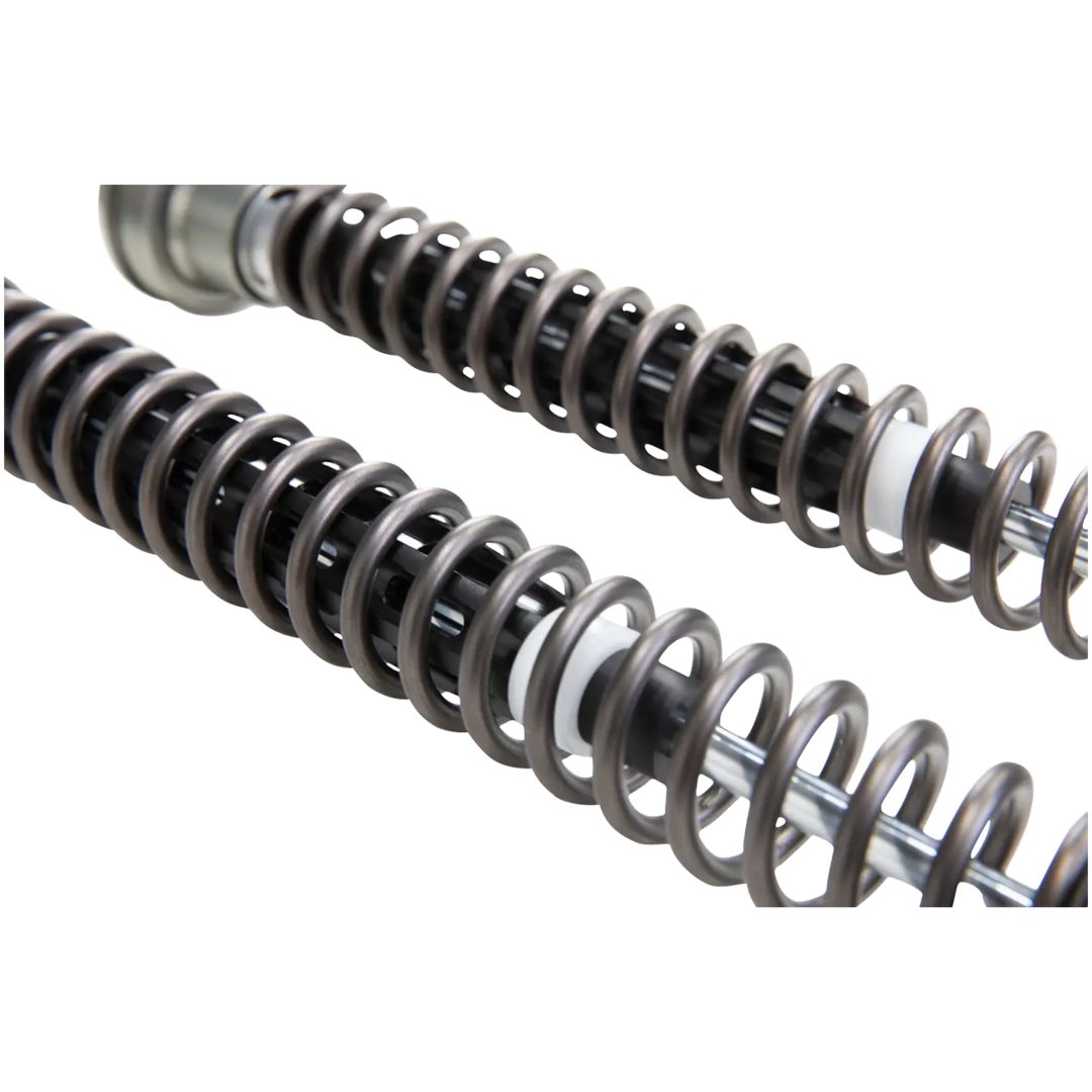 Gaffelfjäder Kit Nix ÖHLINS – bild 4