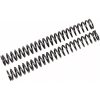 Gaffelfjädrar För Fgk Cartridge Kit ÖHLINS – miniatyr 1