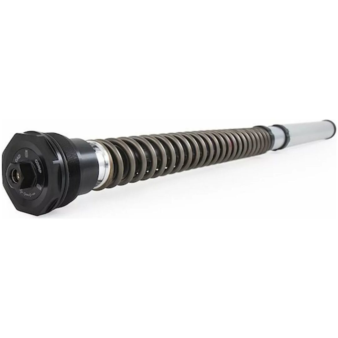 Gaffelpatronkit Nix 30 ÖHLINS – bild 10