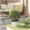 Galvaniserad Metallkruka Galvaniserad Metall vidaXL 30 cm diameter – miniatyr 4
