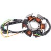 Generator Stator 101 OCTANE – miniatyr 2