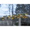Girland Larix STAR TRADING – miniatyr 4