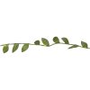 Girland Leaf Grön Star Trading – miniatyr 9