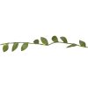 Girland Leaf Grön Star Trading – miniatyr 2