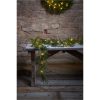 Girland Thuja STAR TRADING – miniatyr 17