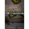 Girland Thuja STAR TRADING – miniatyr 5