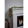 Girland Thuja STAR TRADING – miniatyr 1