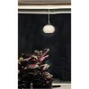Globus Fönsterlampa, Vit/krom ANETA HOME Vit /Krom – miniatyr 2