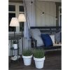 Golvlampa Kreta Grå Star Trading – miniatyr 18