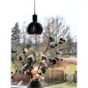 Grafika Fönsterlampa, Svart ANETA HOME Svart – miniatyr 2