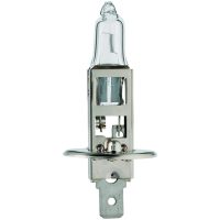 H1 12V 55W P14,5s FLOSSER