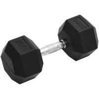 Hantel 20 kg gjutjärn vidaXL