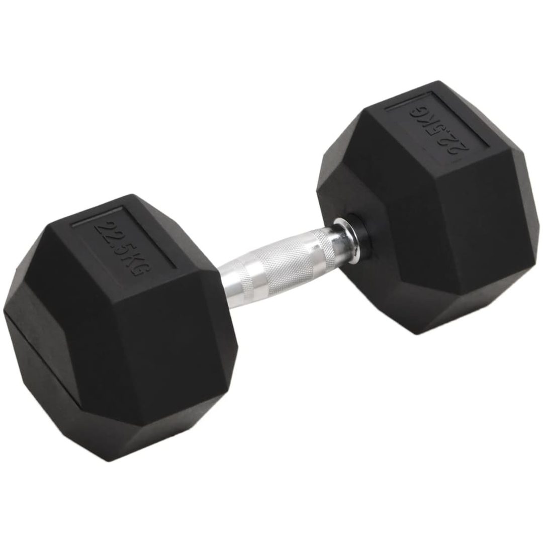 Hantel 22,5 kg gjutjärn vidaXL