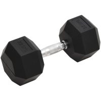 Hantel 22,5 kg gjutjärn vidaXL