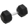 Hantel 25 kg gjutjärn vidaXL – miniatyr 1