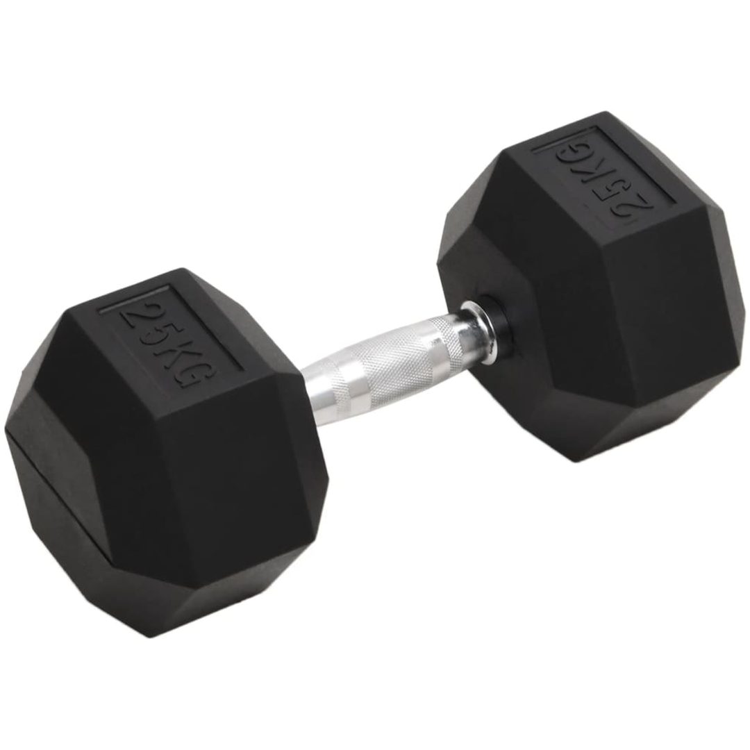 Hantel 25 kg gjutjärn vidaXL