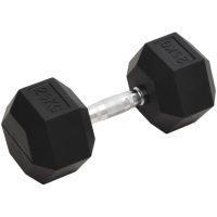 Hantel 25 kg gjutjärn vidaXL