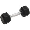 Hantlar 2 st 10 kg gjutjärn vidaXL – miniatyr 2