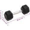 Hantlar 2 st 10 kg gjutjärn vidaXL – miniatyr 8