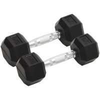 Hantlar 2 st 10 kg gjutjärn vidaXL