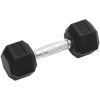 Hantlar 2 st 12 kg gjutjärn vidaXL – miniatyr 2