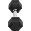 Hantlar 2 st 12 kg gjutjärn vidaXL – miniatyr 5