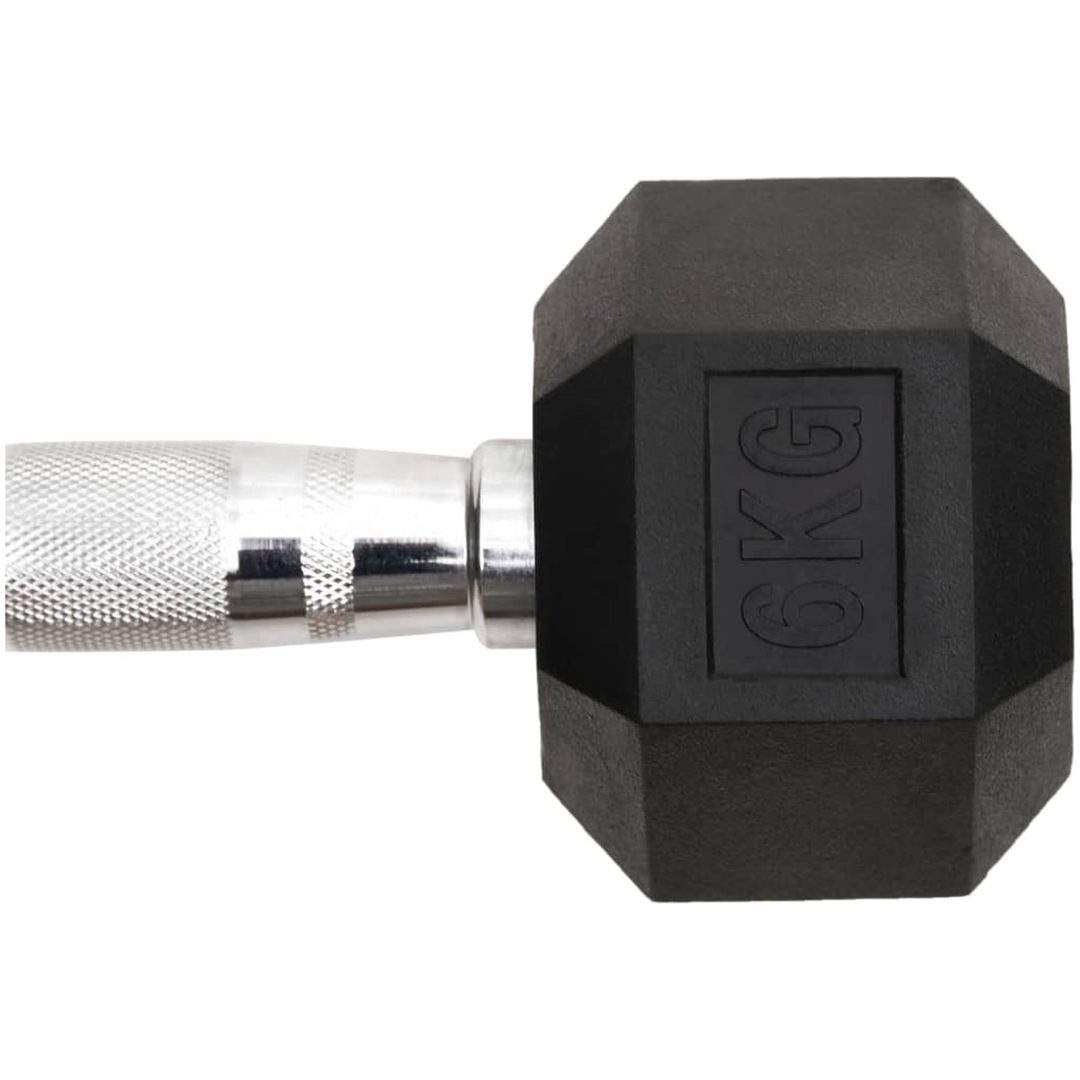 Hantlar 2 st 12 kg gjutjärn vidaXL – bild 6