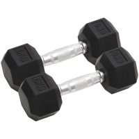 Hantlar 2 st 12 kg gjutjärn vidaXL