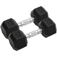 Hantlar 2 st 16 kg gjutjärn vidaXL