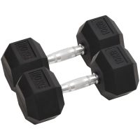 Hantlar 2 st 20 kg gjutjärn vidaXL