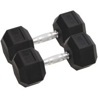 Hantlar 2 st 25 kg gjutjärn vidaXL