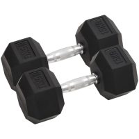 Hantlar 2 st 30 kg gjutjärn vidaXL