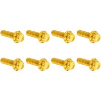 HARDWARE KIT TITANIUM 12-PNT M8/TC TRAP DOOR GOLD