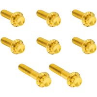HARDWARE KIT TITANIUM 12-PNT TC 6-SPD TRAP DOOR GOLD