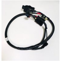 Harness
