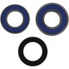 Hjullagerkit ALL BALLS – miniatyr 3