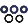 Hjullagerkit ALL BALLS – miniatyr 3