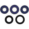 Hjullagerkit ALL BALLS – miniatyr 2