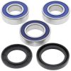 Hjullagerkit ALL BALLS Bak – miniatyr 1