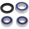 Hjullagerkit ALL BALLS Bak – miniatyr 1