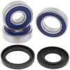 Hjullagerkit ALL BALLS Bak – miniatyr 1