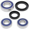 Hjullagerkit ALL BALLS Bak – miniatyr 1