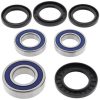 Hjullagerkit ALL BALLS Bak – miniatyr 1