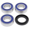 Hjullagerkit ALL BALLS Bak – miniatyr 1