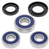 Hjullagerkit ALL BALLS Bak – miniatyr 1