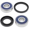 Hjullagerkit ALL BALLS Fram – miniatyr 1