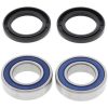 Hjullagerkit Bak All Balls Bak – miniatyr 1