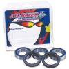 Hjullagerkit Double Lip ALL BALLS Svart – miniatyr 2
