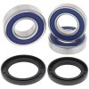 Hjullagerkit Standard ALL BALLS – miniatyr 1